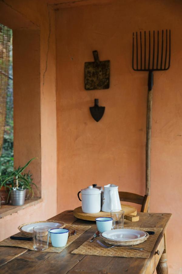 Studio/Flat Rustic Tuscan Marziani 2 Capannori Εξωτερικό φωτογραφία