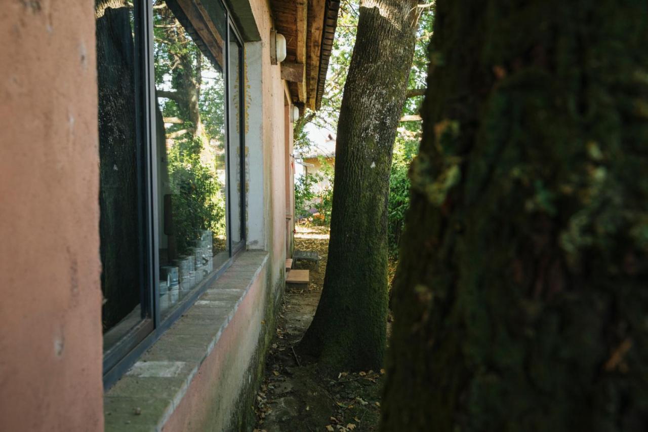 Studio/Flat Rustic Tuscan Marziani 2 Capannori Εξωτερικό φωτογραφία